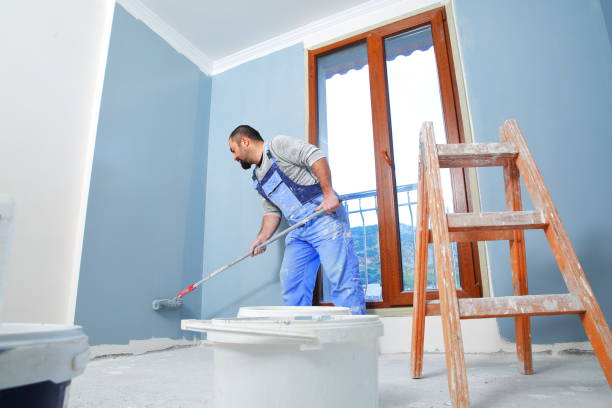 Mold Odor Removal Services in Topeka, IN