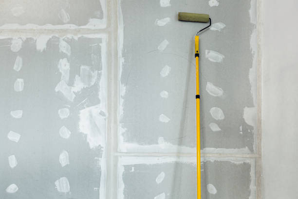 Best Mold Remediation for Healthcare Facilities  in Topeka, IN
