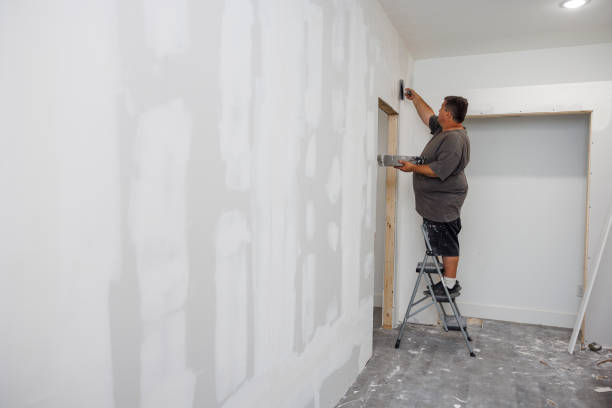 Best Water Damage & Mold Remediation  in Topeka, IN