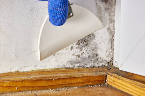 Best Indoor Air Quality Assessment  in Topeka, IN