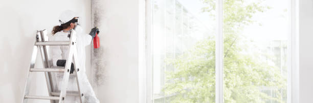 Professional Mold Removal in Topeka, IN