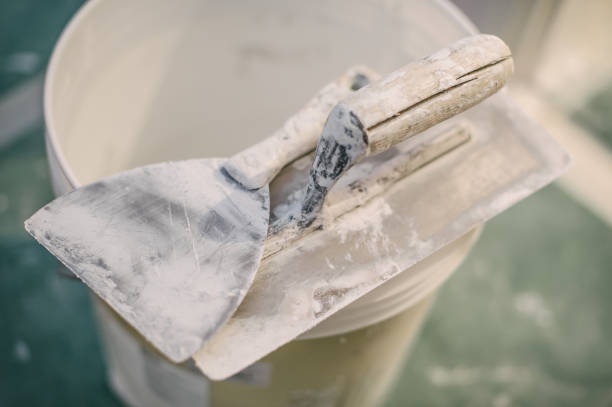 Best Basement Mold Removal  in Topeka, IN